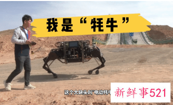 国产牦牛仿生机器人亮相