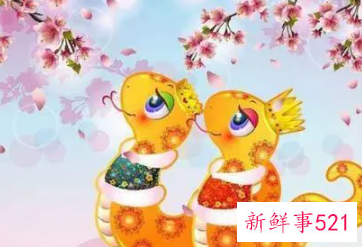 属猪女和属蛇男可以做情人吗