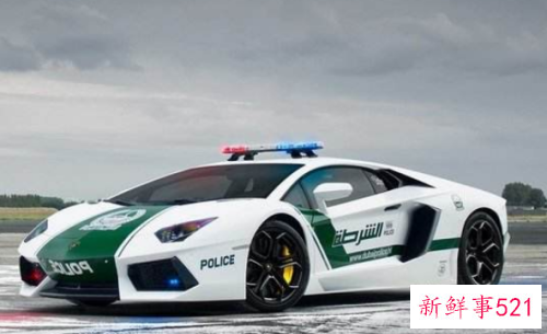 世界上最豪华的警车