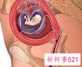 怀孕1一9月胎位变化图片