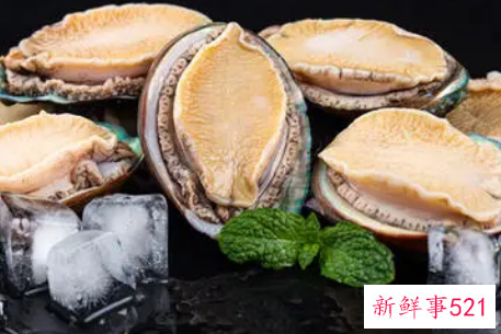 鲍鱼是寒性食物吗