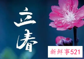 立春的诗句佳句