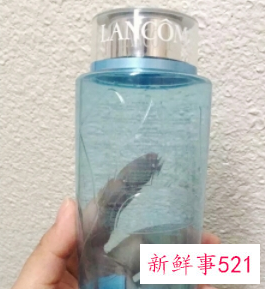 嫩肤水和爽肤水有什么区别