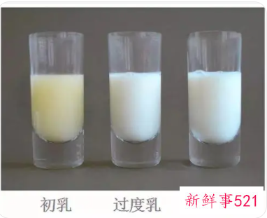 初乳一般会持续几天