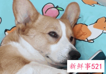 改善晚睡的方法