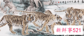 茶室挂画图片欣赏