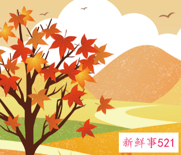 24节气哪个寓意最好