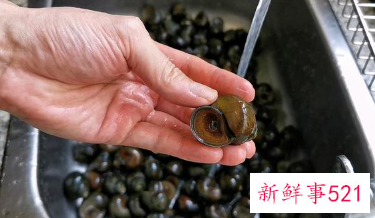 田螺排骨煲做法