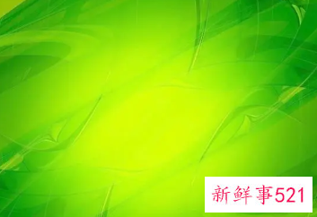 绿色美好的寓意