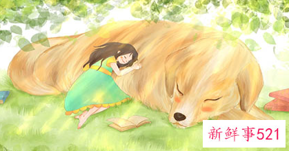 适合两周岁孩子的亲子游戏