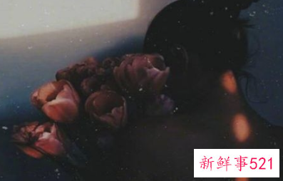 男女之间怎么确立关系