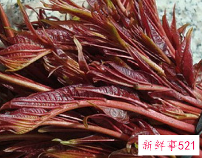 春天吃什么食物