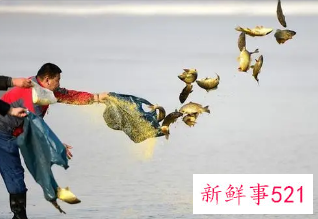 梦见放生代表什么