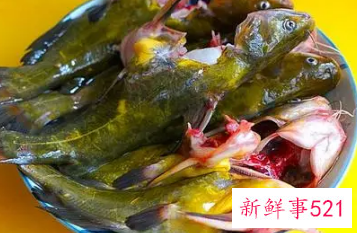 什么不可以和鱼一起煮