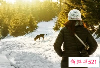 让女生反感了还能追到她吗