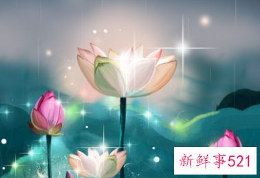 24节气哪个寓意最好