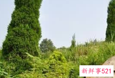 不利于后人子孙的糟糕坟墓风水介绍