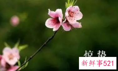 日历上惊蛰是什么意思