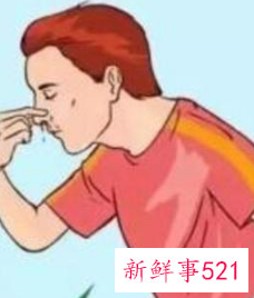 流鼻血时仰头对不对