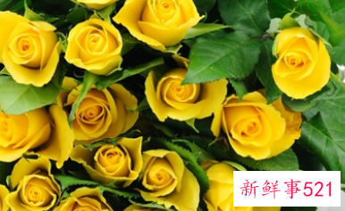 黄色代表什么爱情暗示