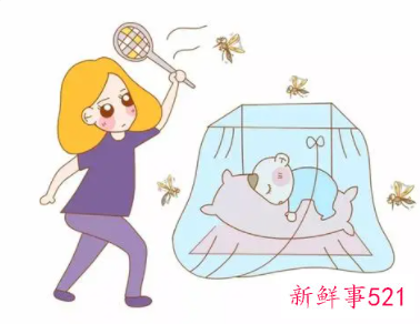 家里有蚊子怎么办
