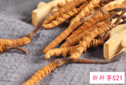 中药冬虫夏草的功效与作用