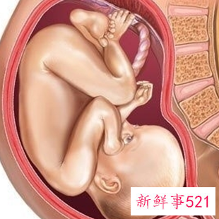 怀孕1一9月胎位变化图片