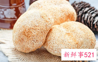 菌类抗癌效果最好的种类是什么