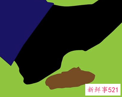 梦见踩了大便是什么意思