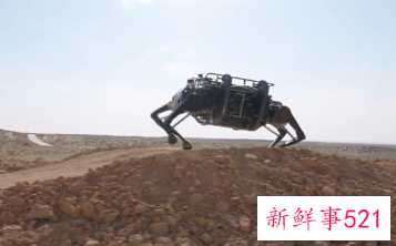 国产牦牛仿生机器人亮相