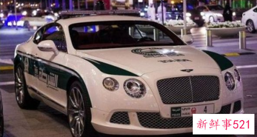 世界上最豪华的警车