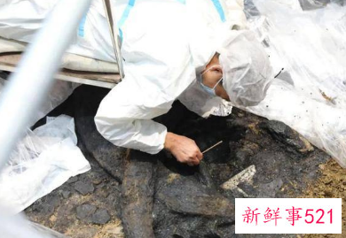 三星堆有几个坑