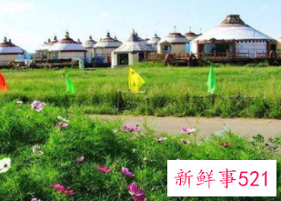 世界上最毒的植物排行榜