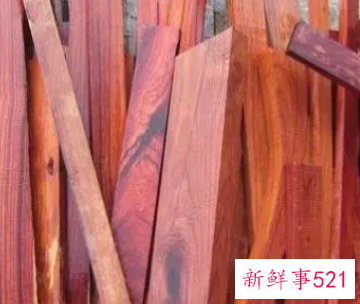 黄檀木和紫檀木哪个好