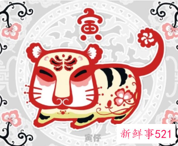 男属鸡与女属虎合适吗