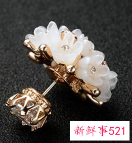 耳钉后面的塞子叫什么