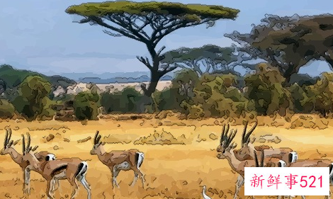 梦见被人追着跑