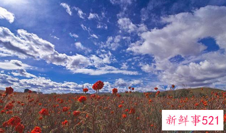 2021国庆节国家法定假几天