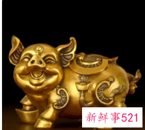 金猪摆在什么方向招财