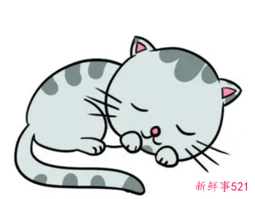 梦见小花猫的寓意