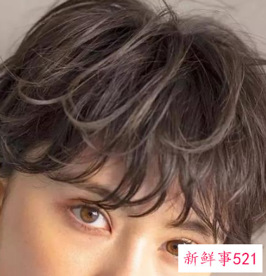 头发少怎么发型比较合适呢