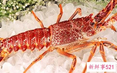 麻辣龙虾应该怎么做