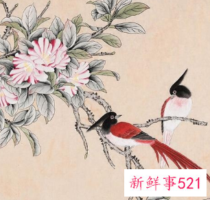 茶室挂画图片欣赏