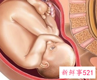 怀孕1一9月胎位变化图片