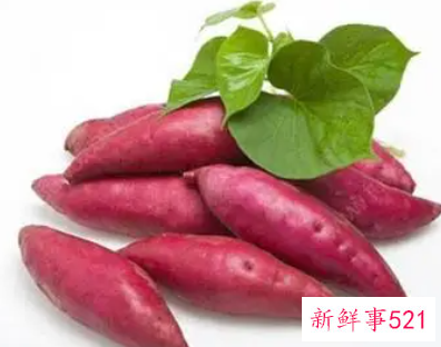 孕妇低糖主食有哪些