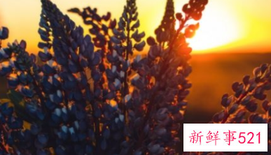 男女之间怎么确立关系