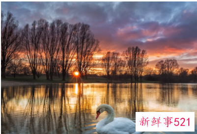 回敬朋友的感谢语