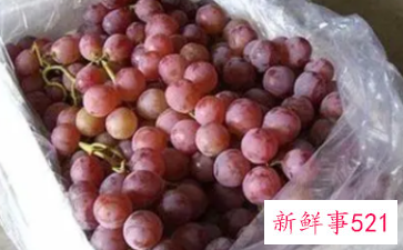 葡萄怎样保存