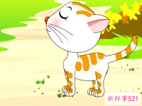 梦见小花猫的寓意