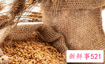 什么东西吃了容易发病